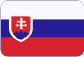 Strahltriebwerk Slovensky